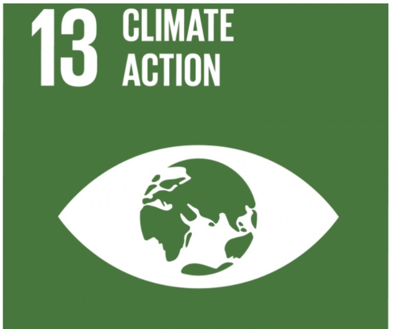 SDG 13