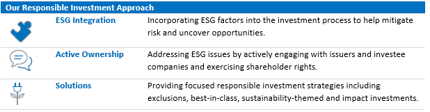 responsible investment approach