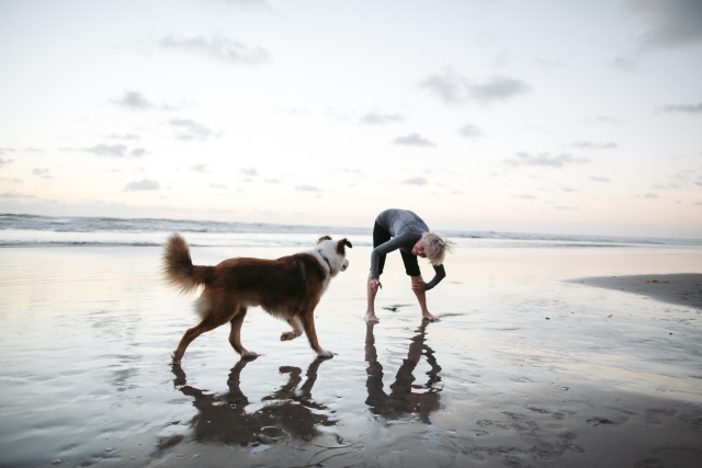 Stakeholder value suggestion