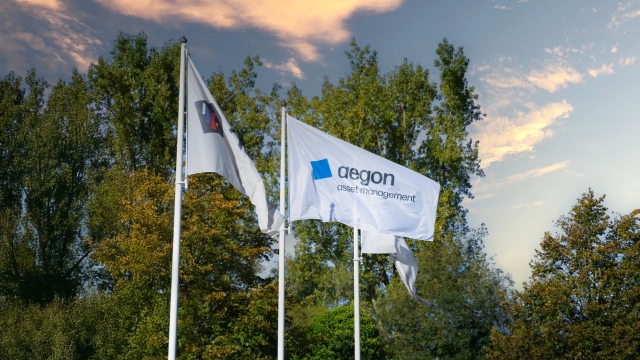 Aegon Asset Management flag