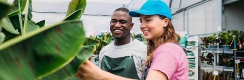Two people looking at a plant