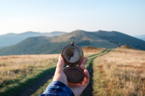 Our strategy - compass