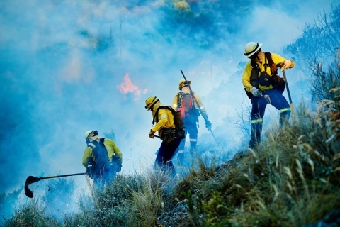 Firefighters fighting wildfire