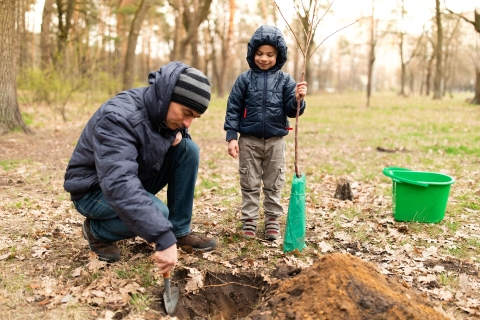 Man and boy planting 