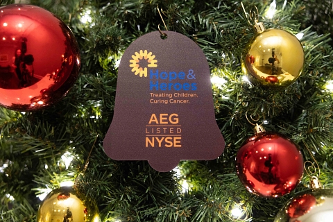 Hope & heroes tree ornament