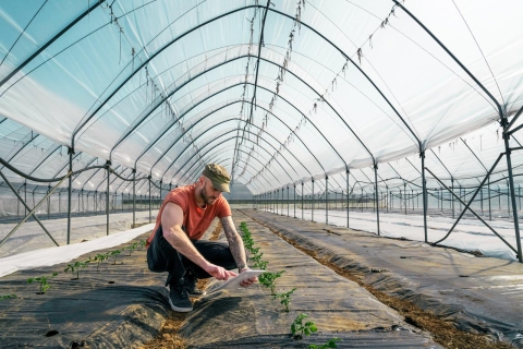 Man tending small plants