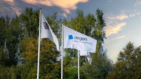Aegon Asset Management flag